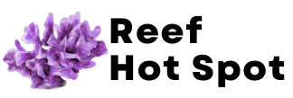 Reef Hot Spot