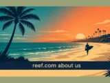 reef.com about us sunset coast cover